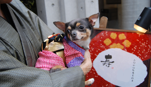 ゴミ屋敷片付けのアドバイザー